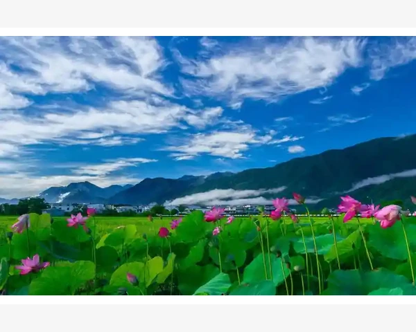中医辩证治疗失眠的有效方法