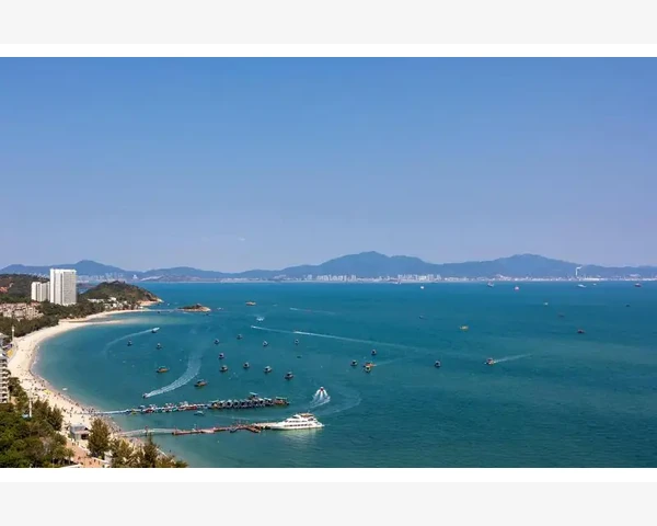 罗汉果川贝化痰：一种中医传统秘方的研究与应用