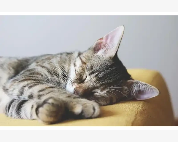 B2B快驴农产品批发平台实用体验